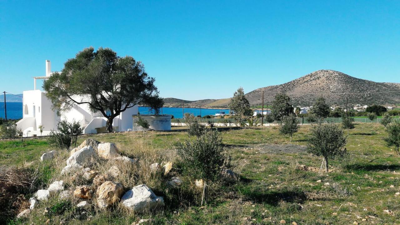 Agiassos Naxos Apartments Bagian luar foto
